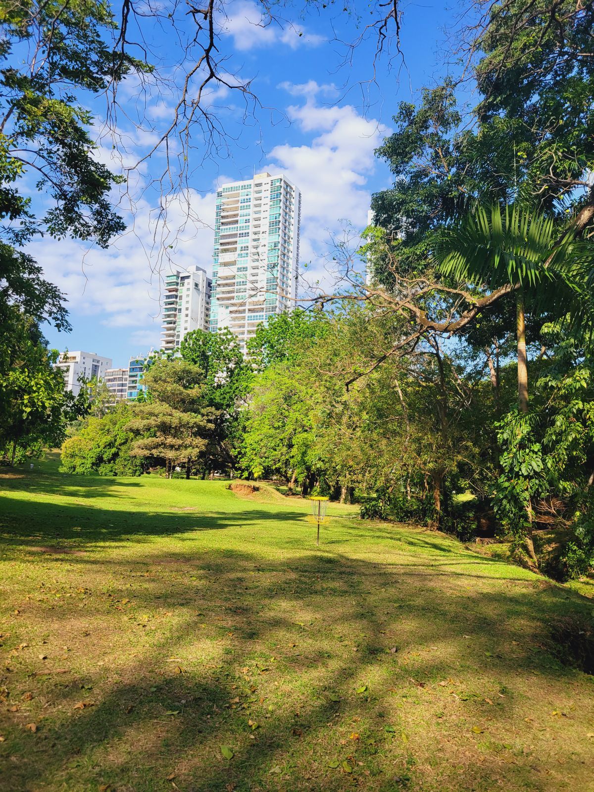 Parque Omar DG Course
Hole 10 Target