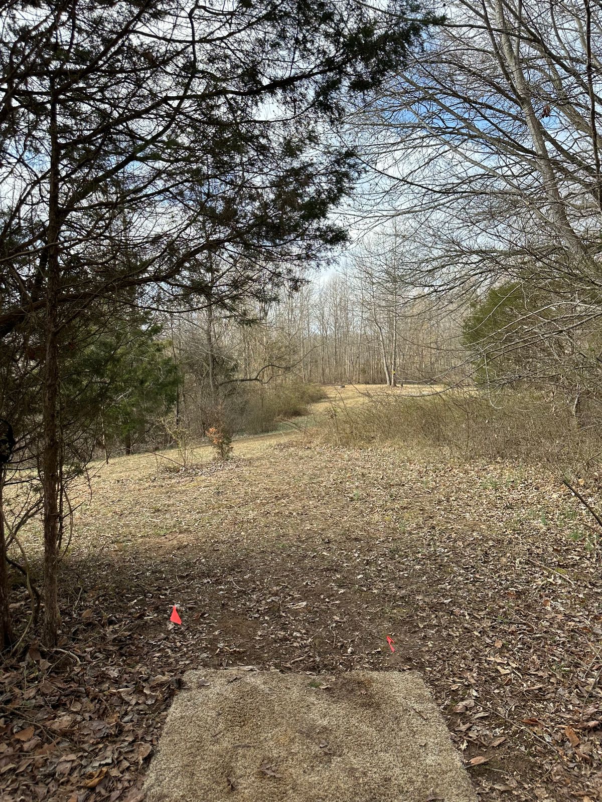 Tee pad 9