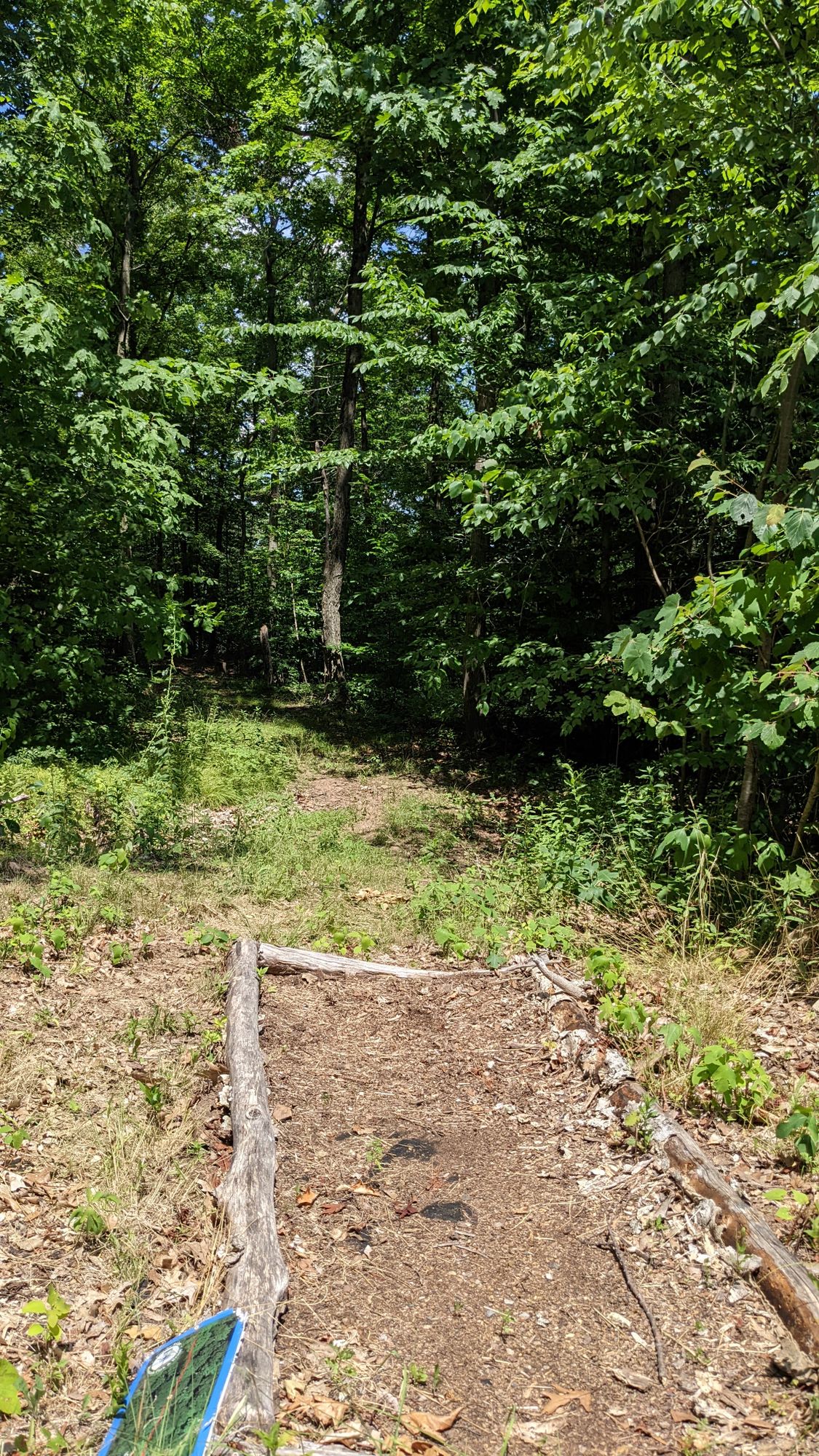 Hole 6 Tee