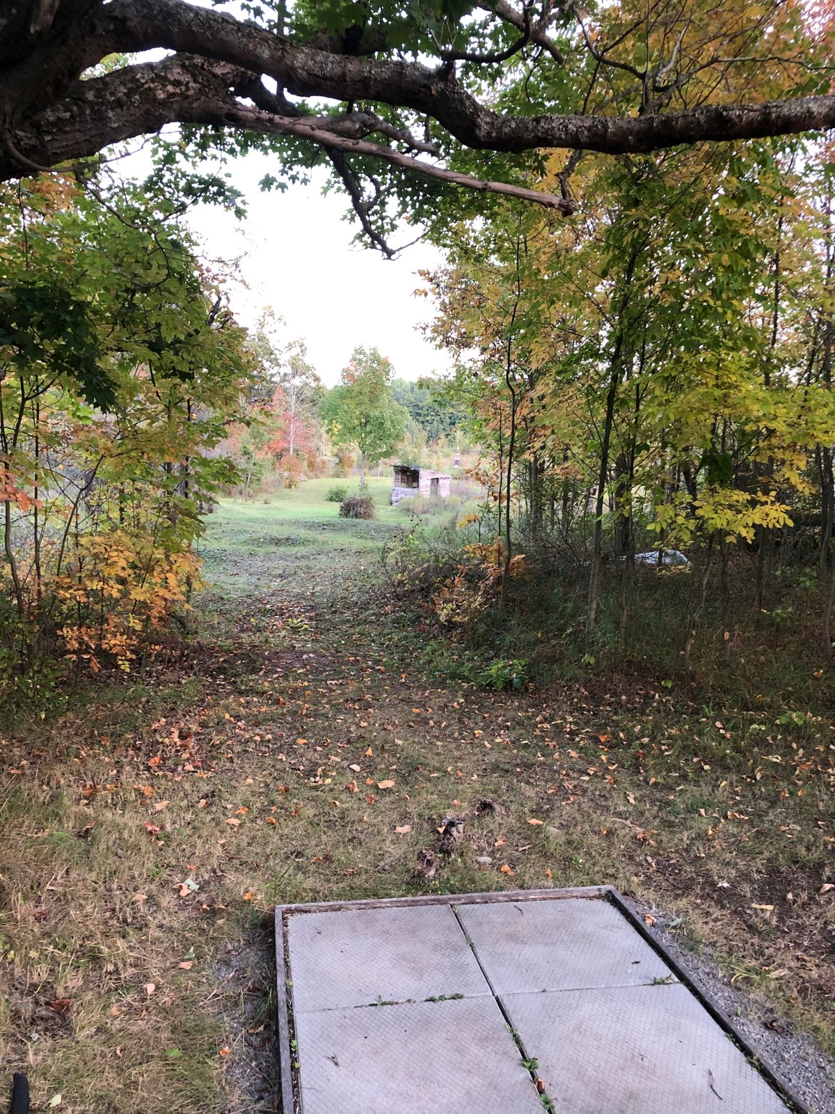 Hole 7 blue tee