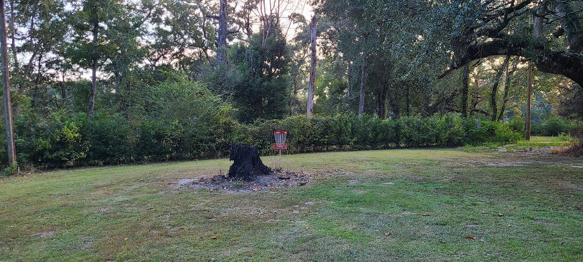 Hole 8 basket