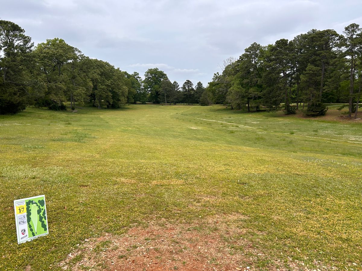 Hole 17 from tee