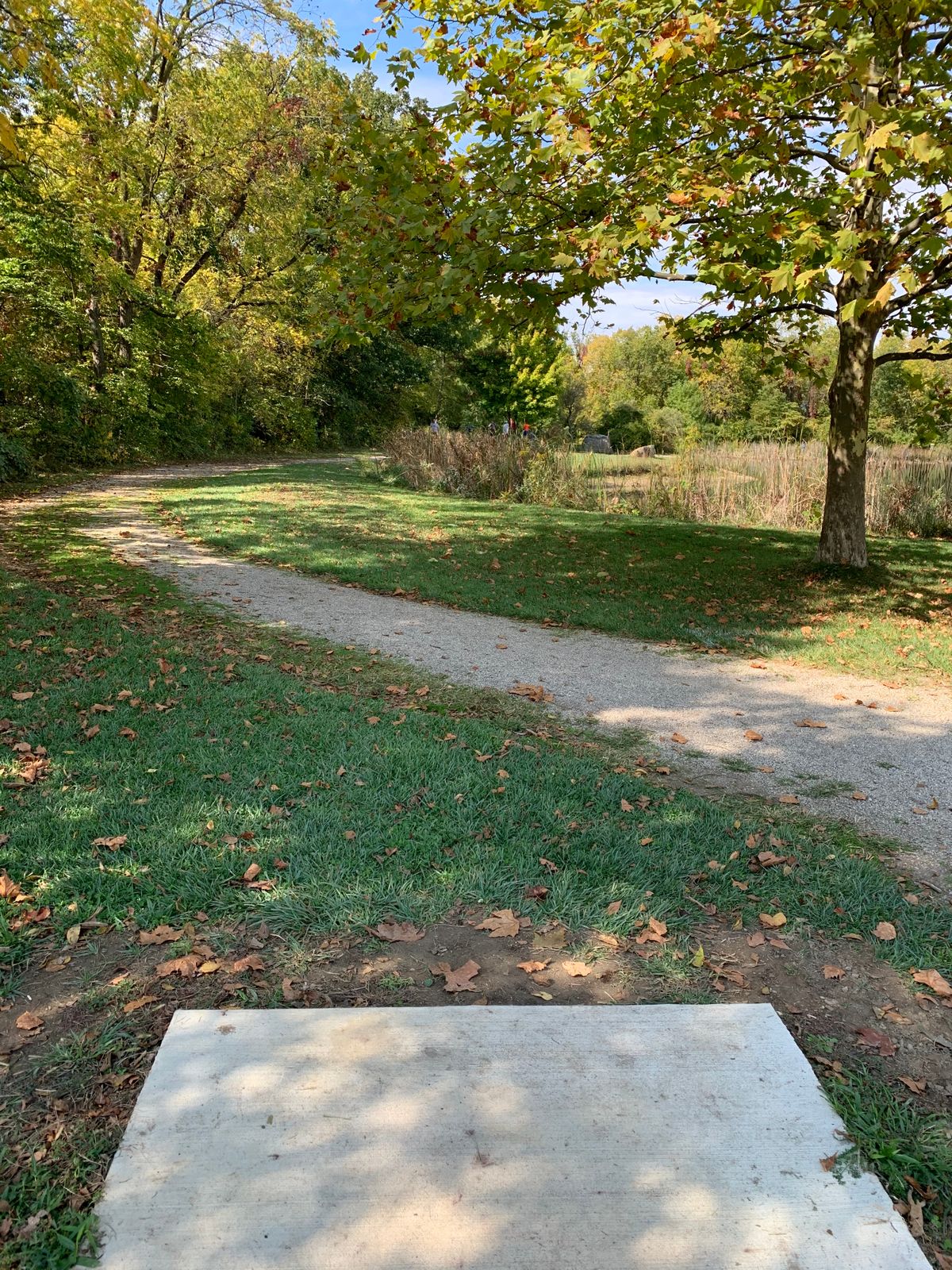 Hole 15 Tee