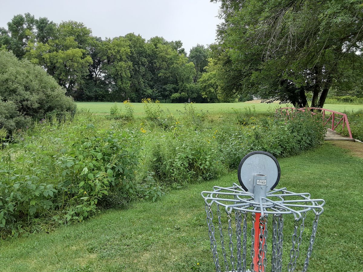 Looking back at tee pad from hole 5.