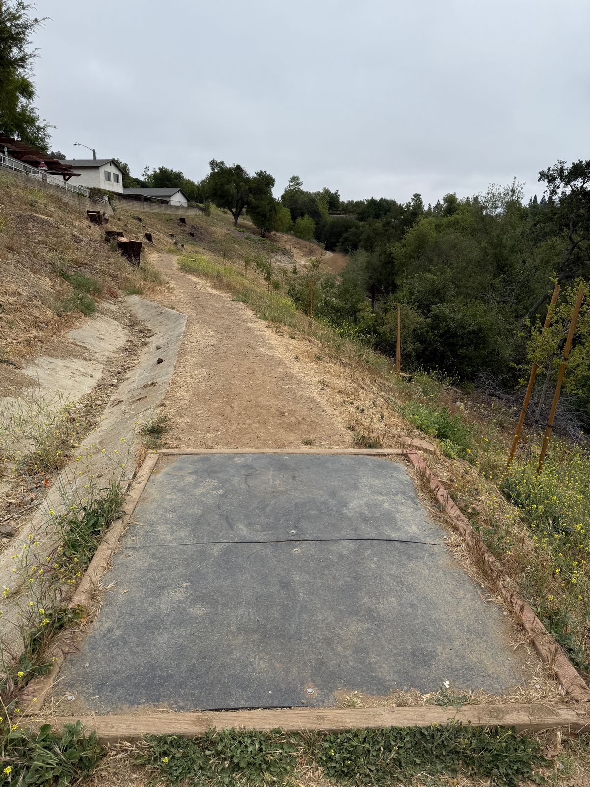 Hole 9 tee