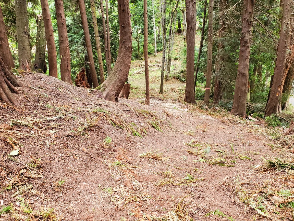 Fairway Hole 8