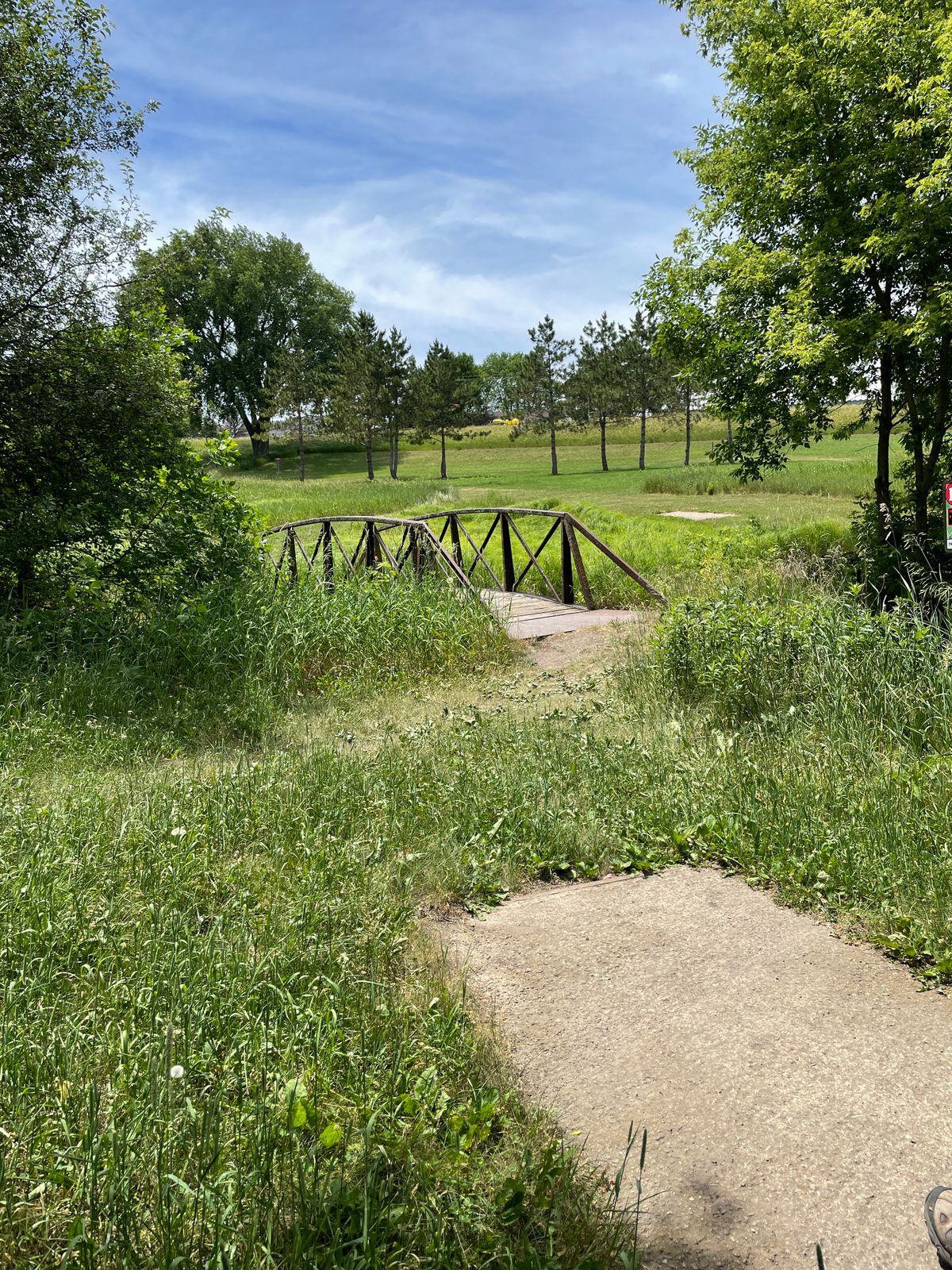 Hole 16 tee