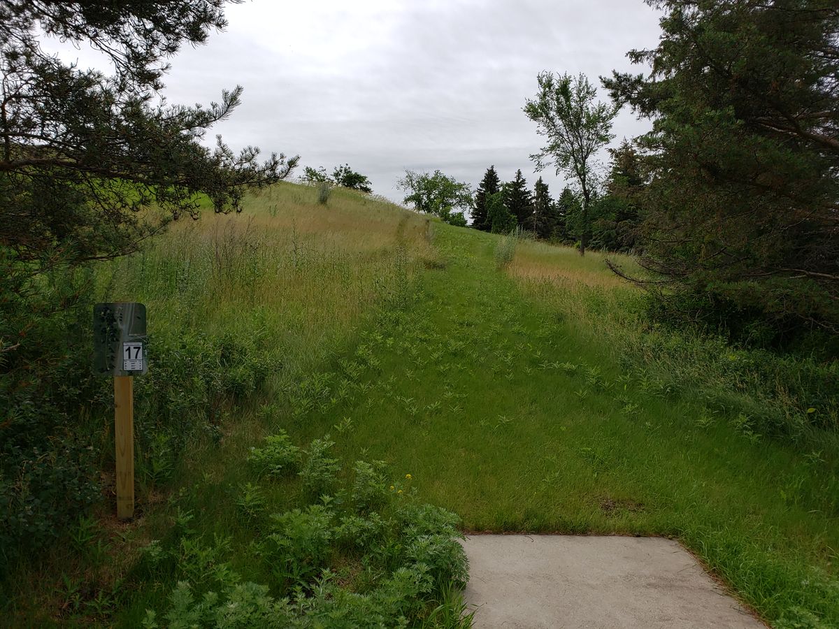 Hole 17 tee