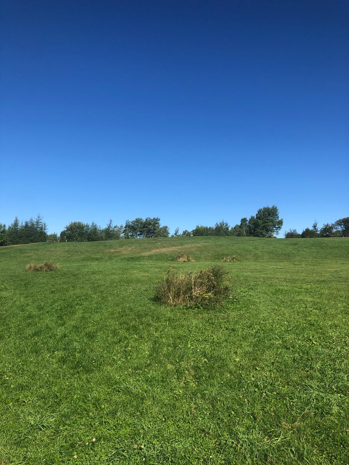 Hole 4