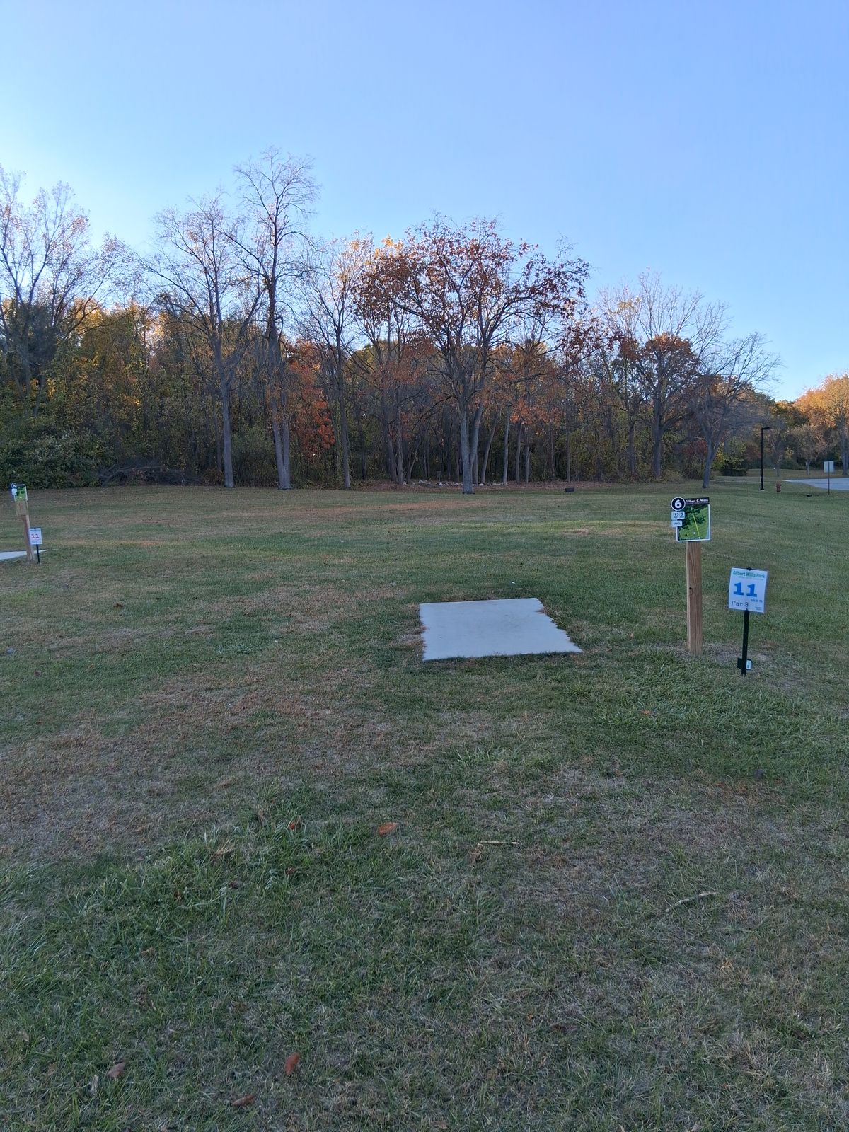 Hole 11 long  basket tucked up there in the woods 50' past the triple gap. Follow the path right of the basket up the path to 12