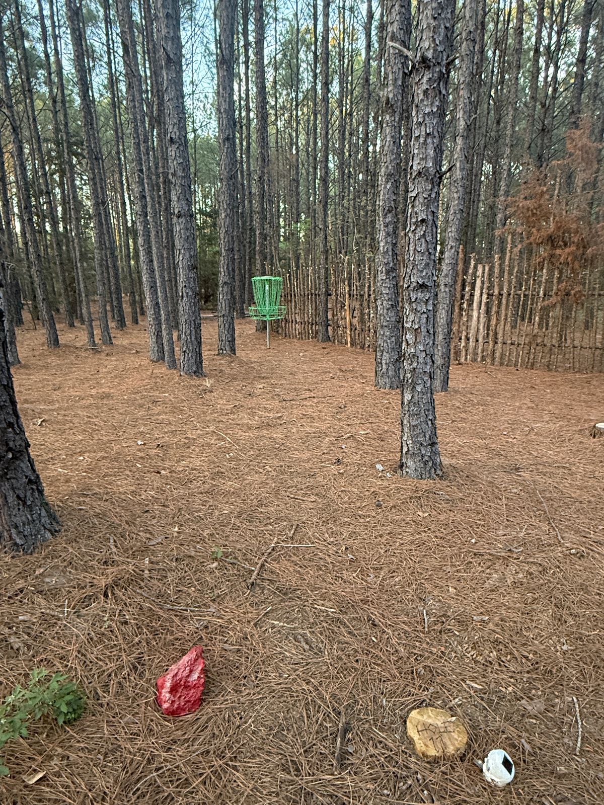 Hole 11 - Red