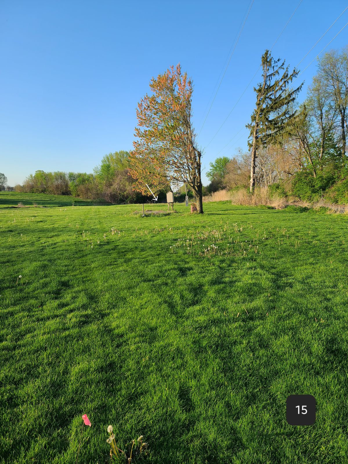 Hole 15