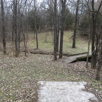 Hole 14 Tee (Short)