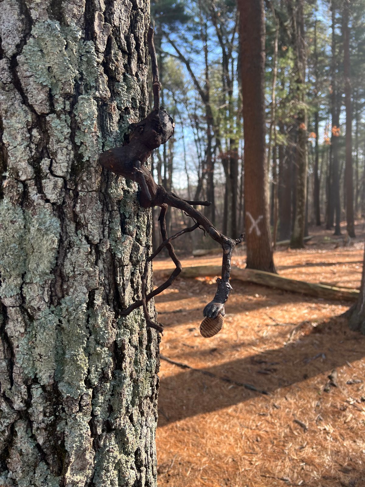 Disc golf art? Near basket 9