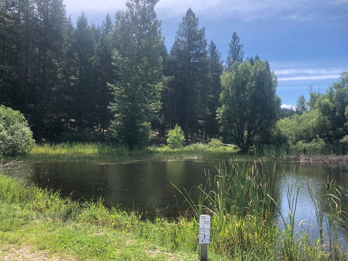 Hole 9 tee