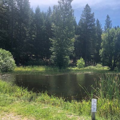 Hole 9 tee