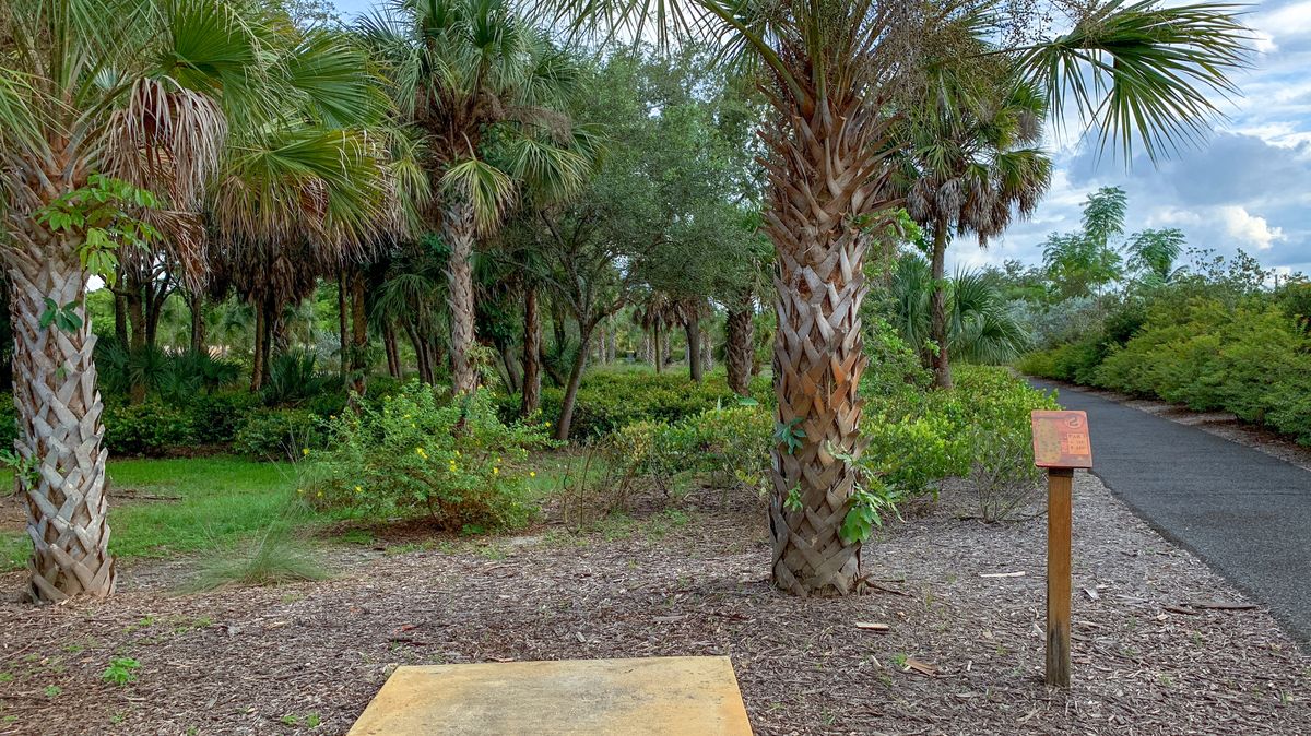 Hole 2