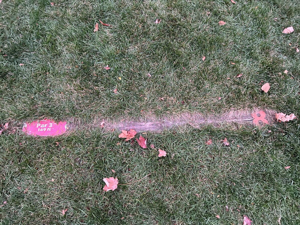 Hole 8 tee area plank