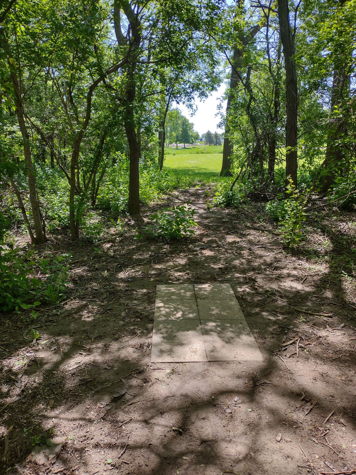 Hole #8 yellow tee