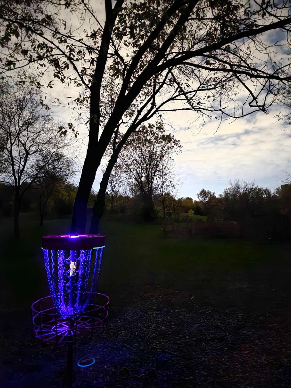 Hole 7 looking back on the fairway