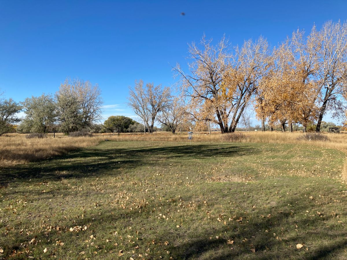 Hole 4 basket location