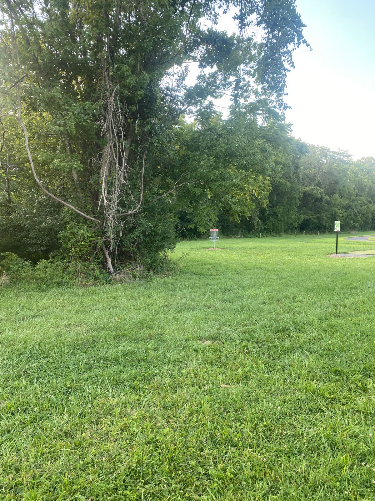 Hole 17 basket