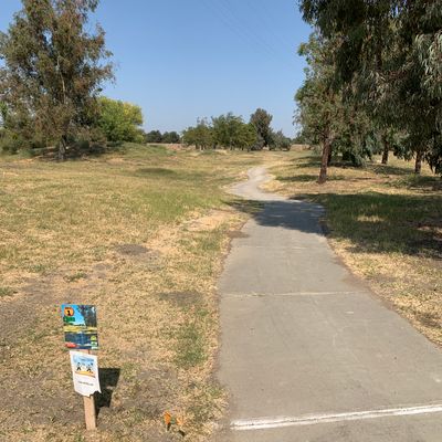 #1 tee