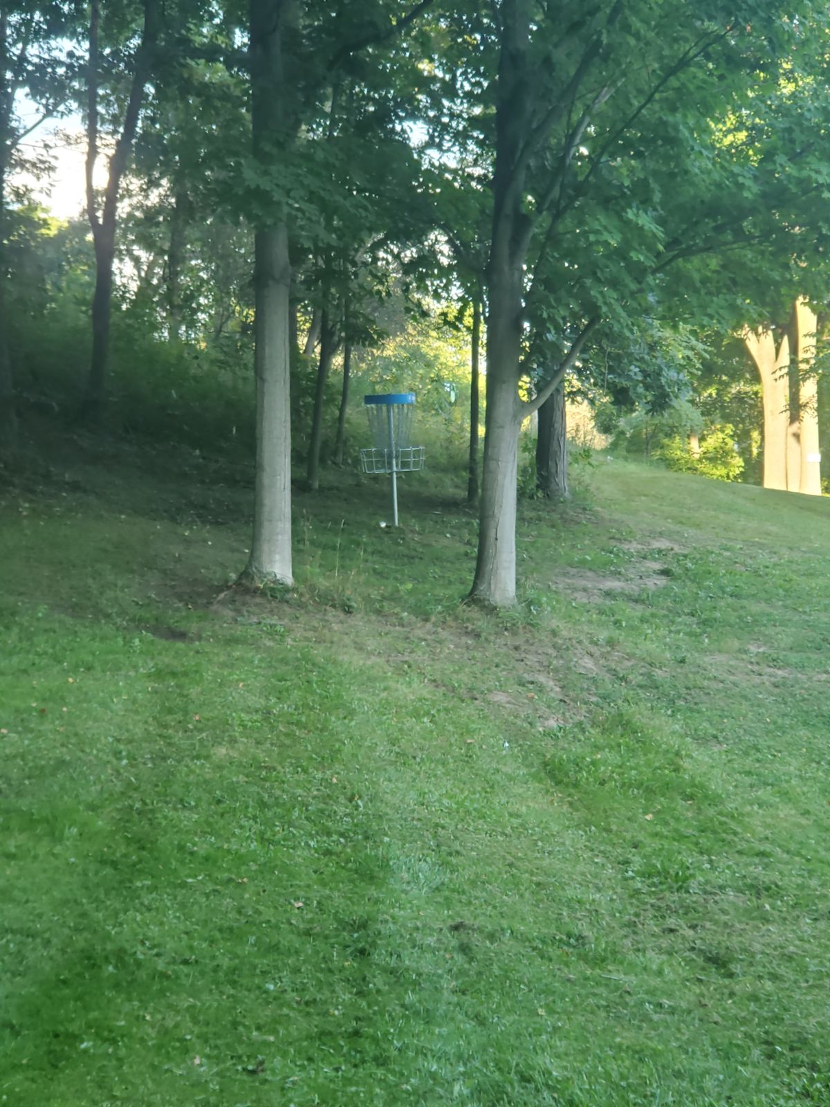 Hole 7 basket