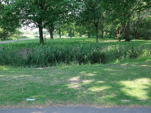 Tee 8