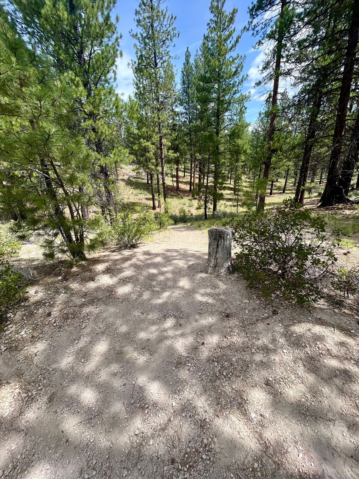Tee pad on hole 11