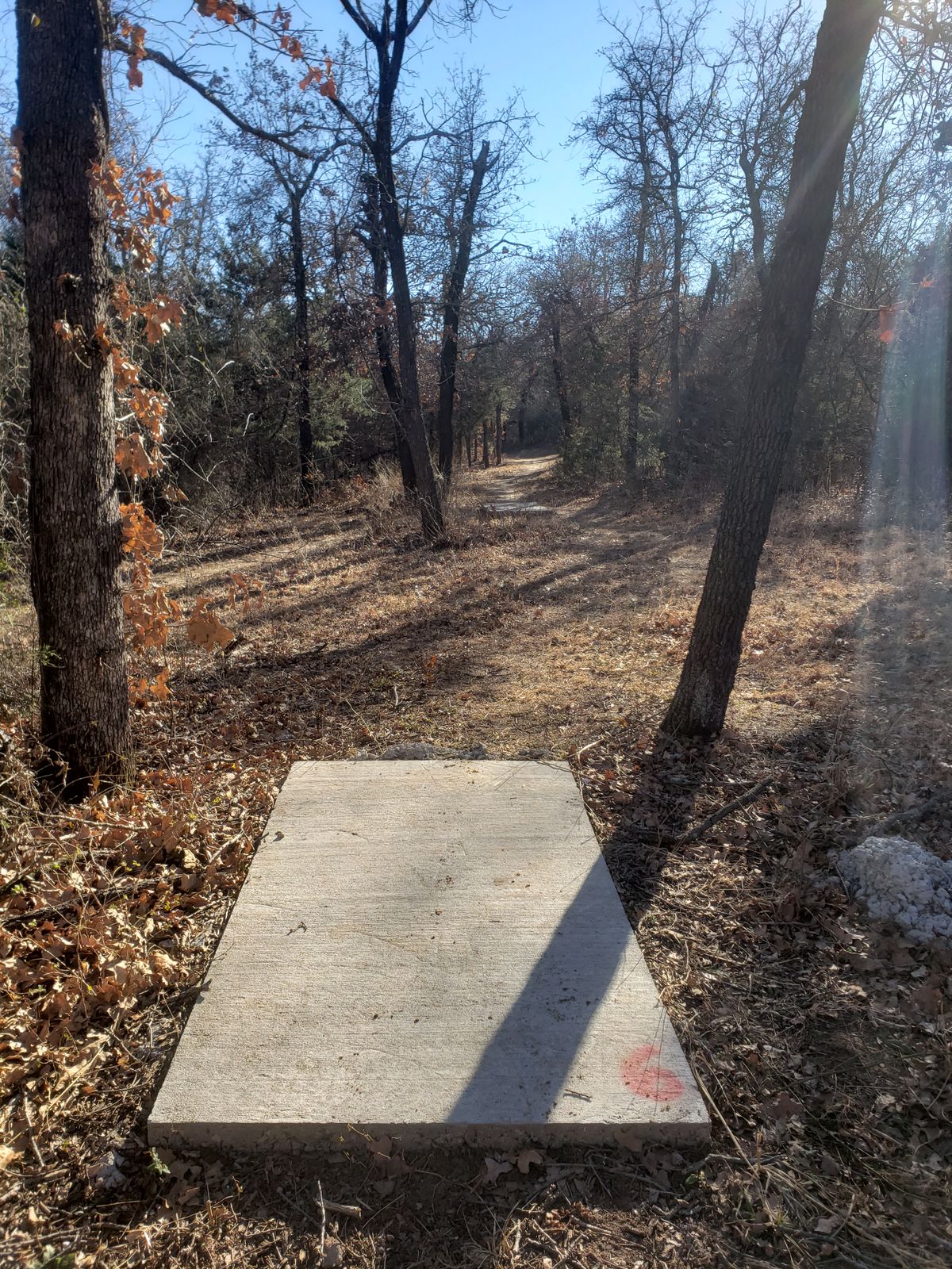 Hole 6 longs