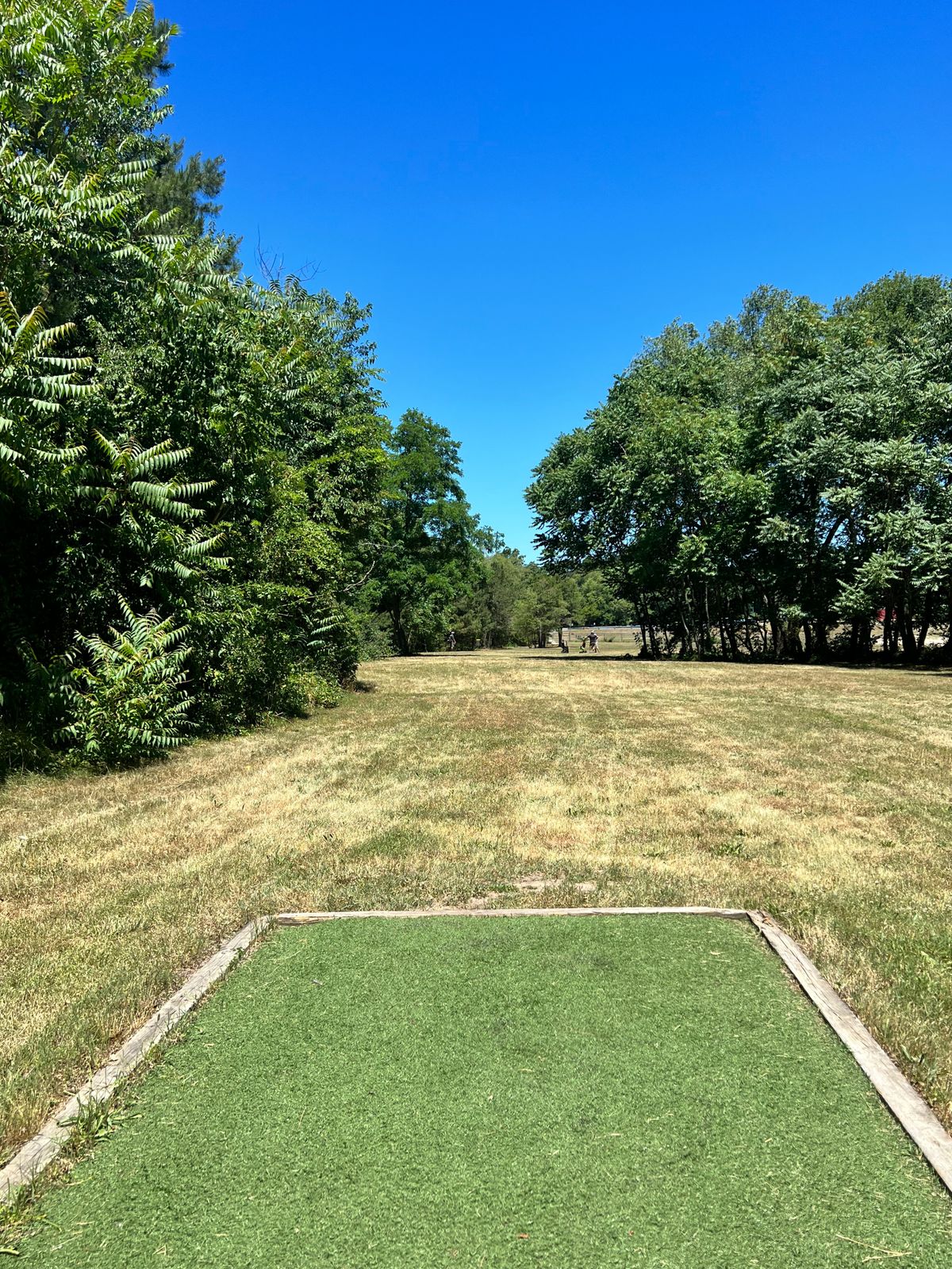 Hole 16 long