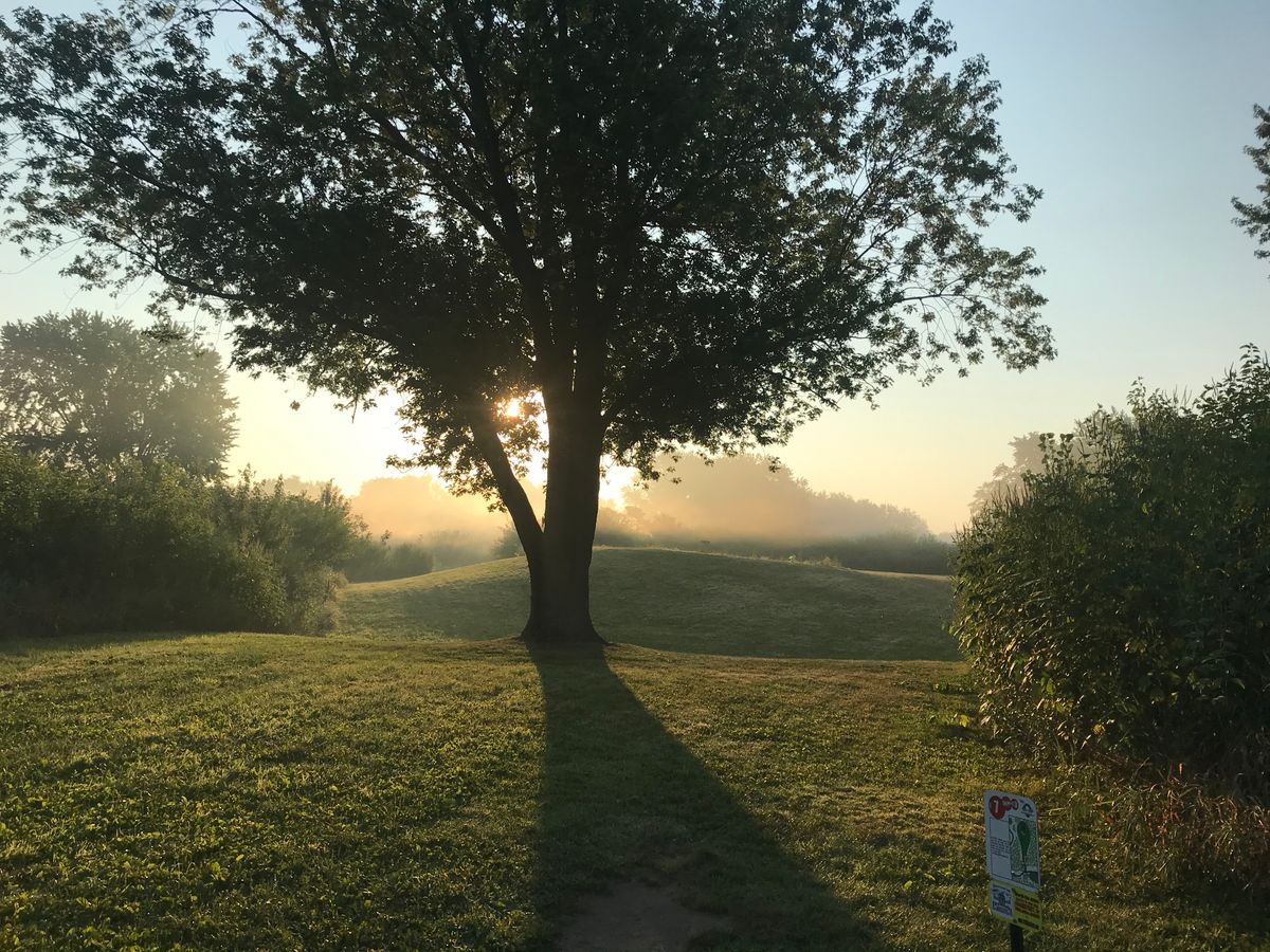 #7  red tee par 3 220ft. Early morning fog burning off the course.