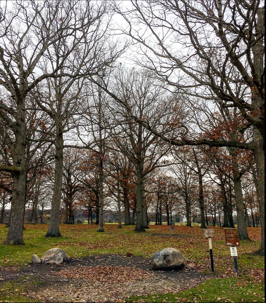 View from behind the tee on hole 1. The basket for hole 9 is somewhat in front of hole 1’s teepad.