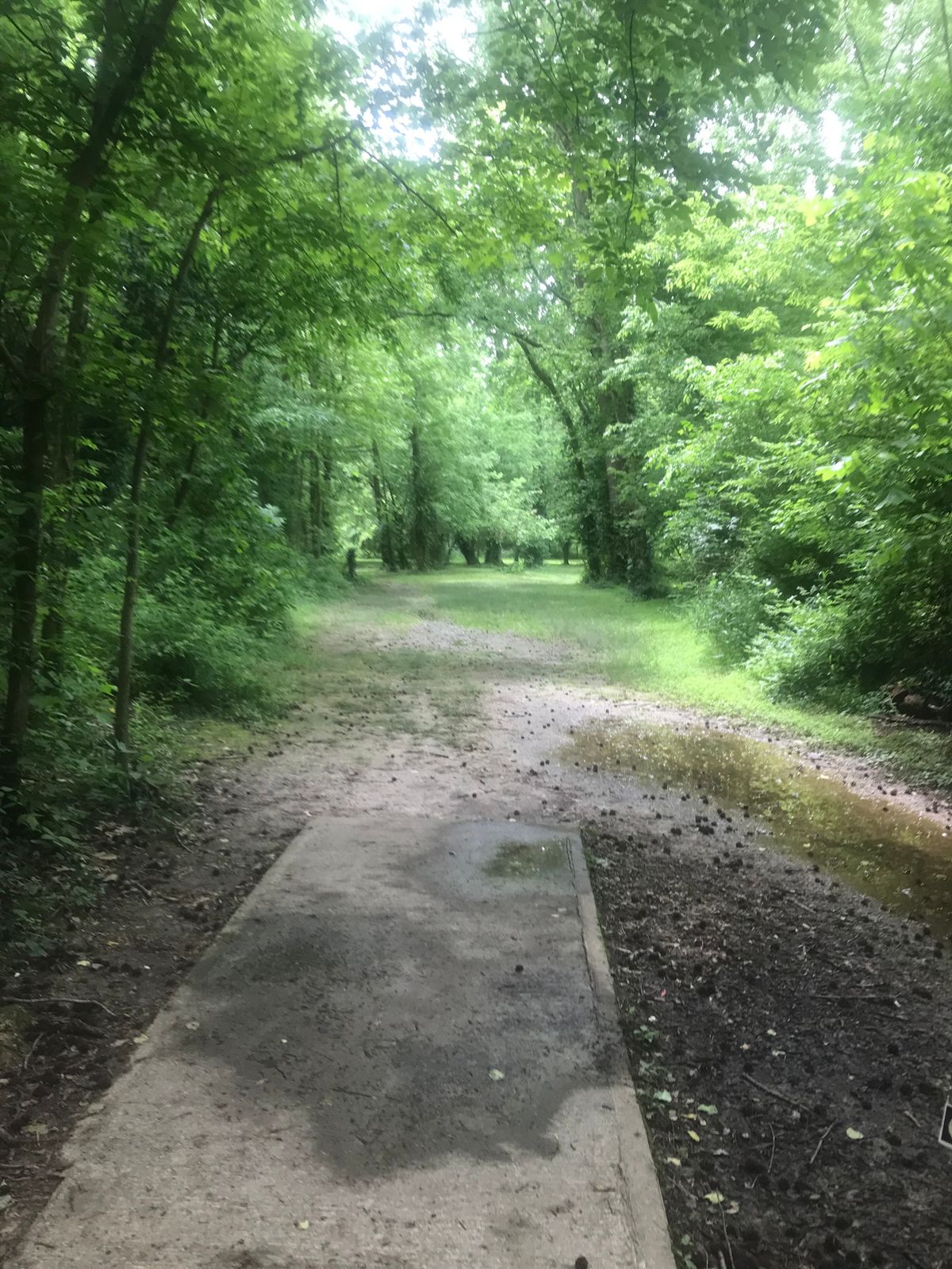 Hole 6