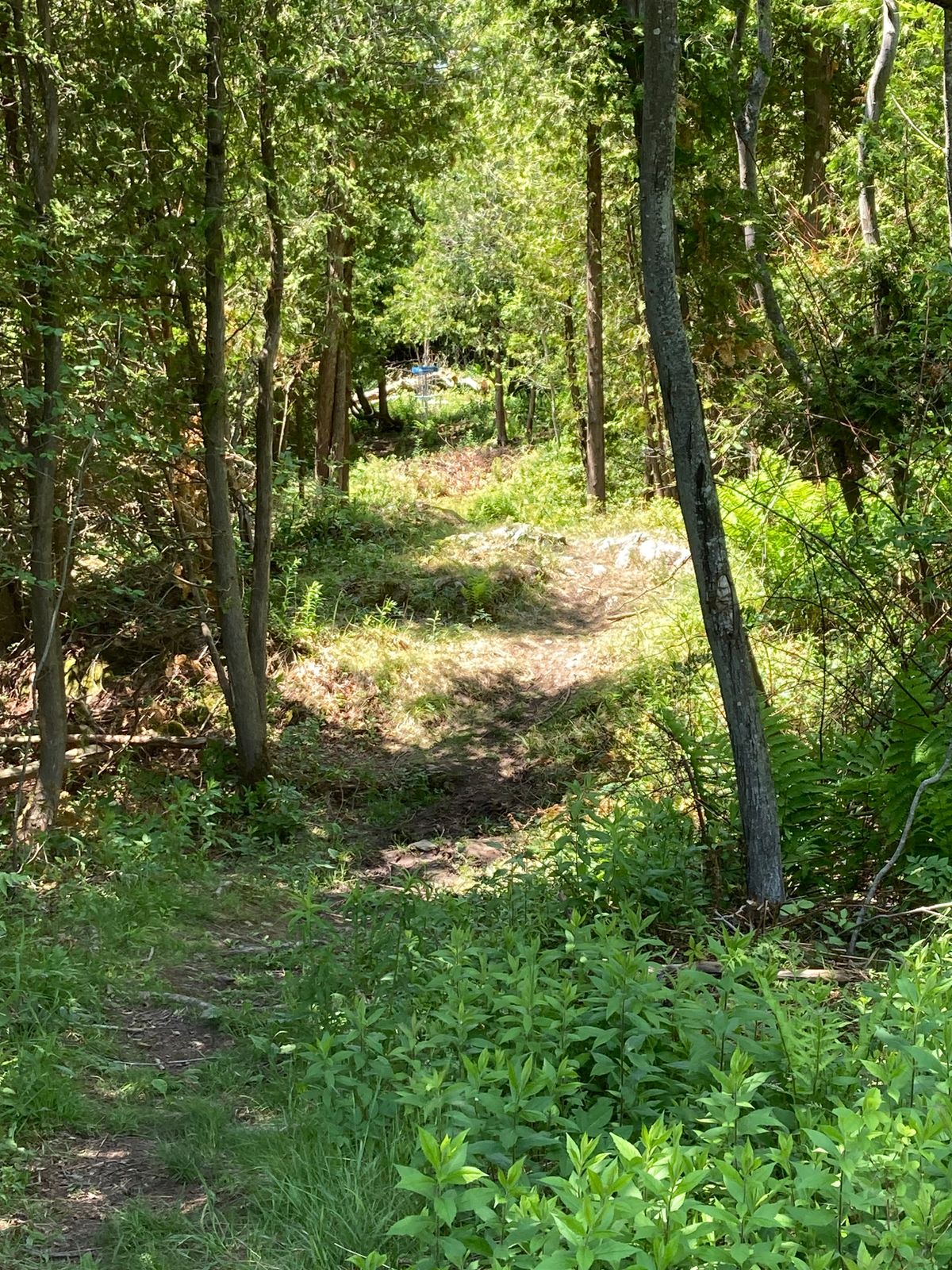 Beautiful hole