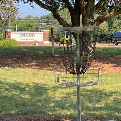 Hole 4 basket
