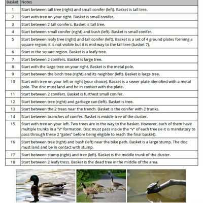 Beginner P.3/3