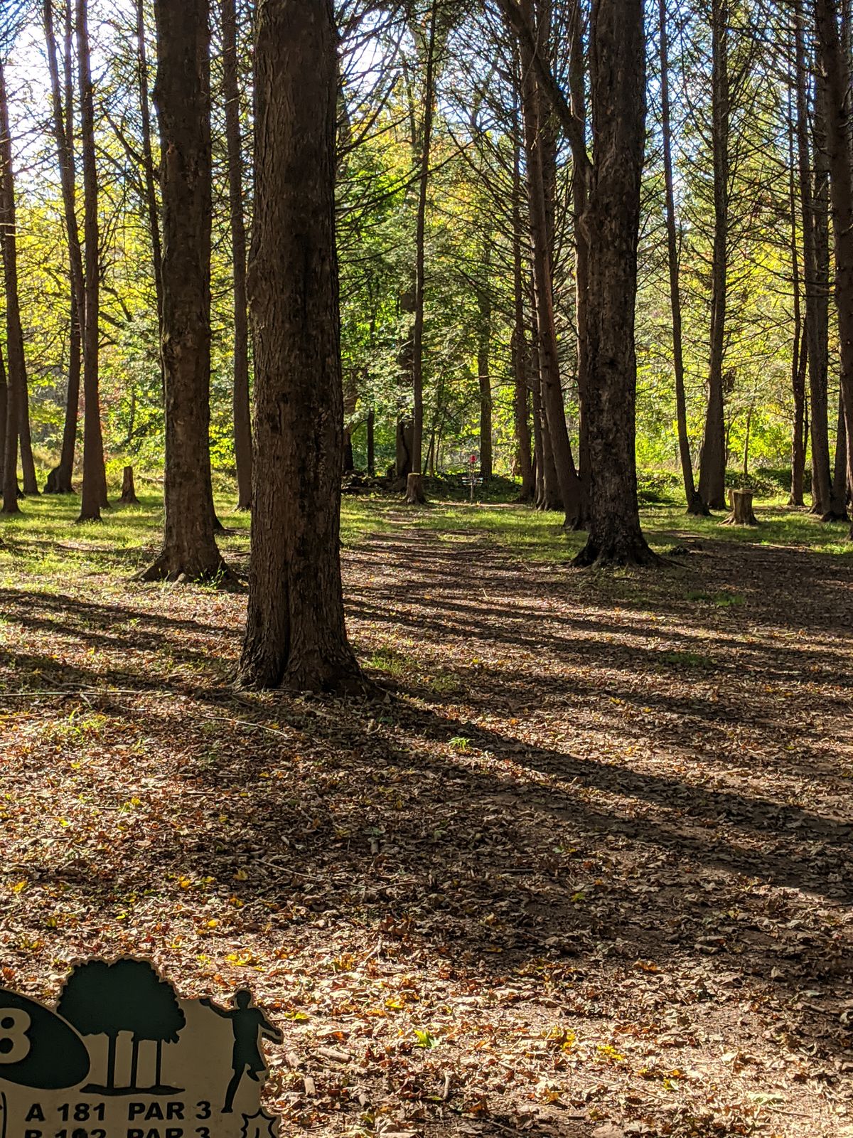 Hole 6