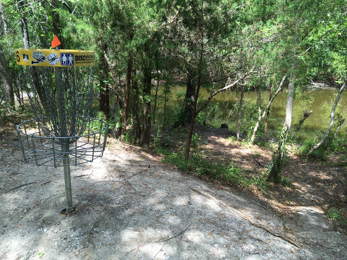 Hole 6 - Basket on mound above the gator pond.