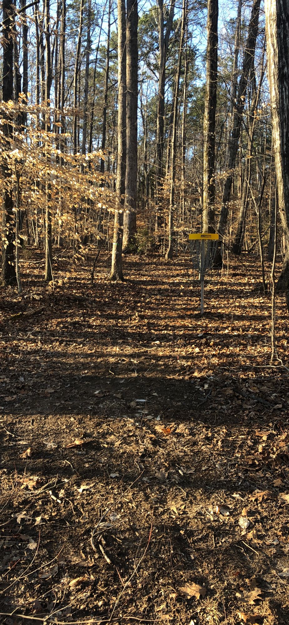 Hole 12 Baskets