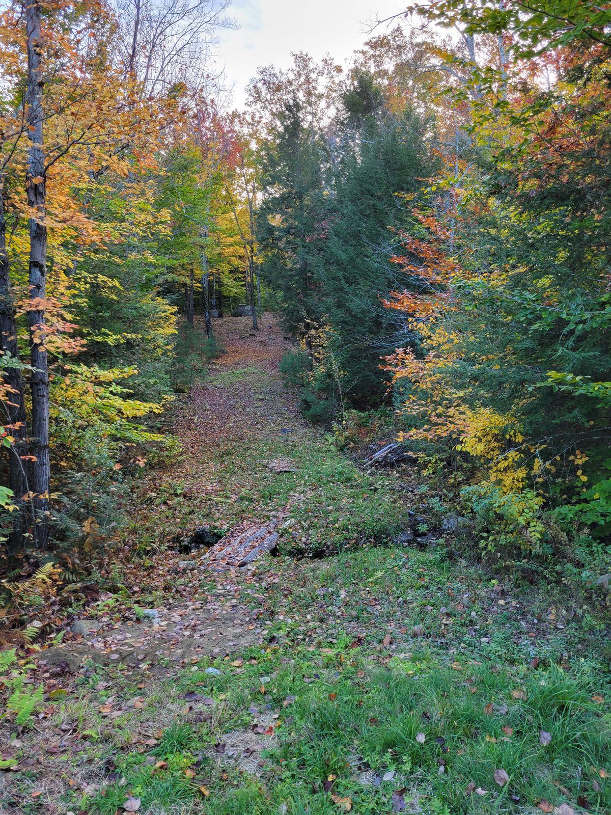 Hole 7 from the tee.