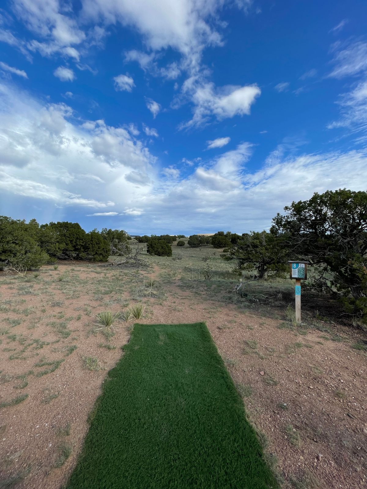 Hole 8 Pro tee pad
