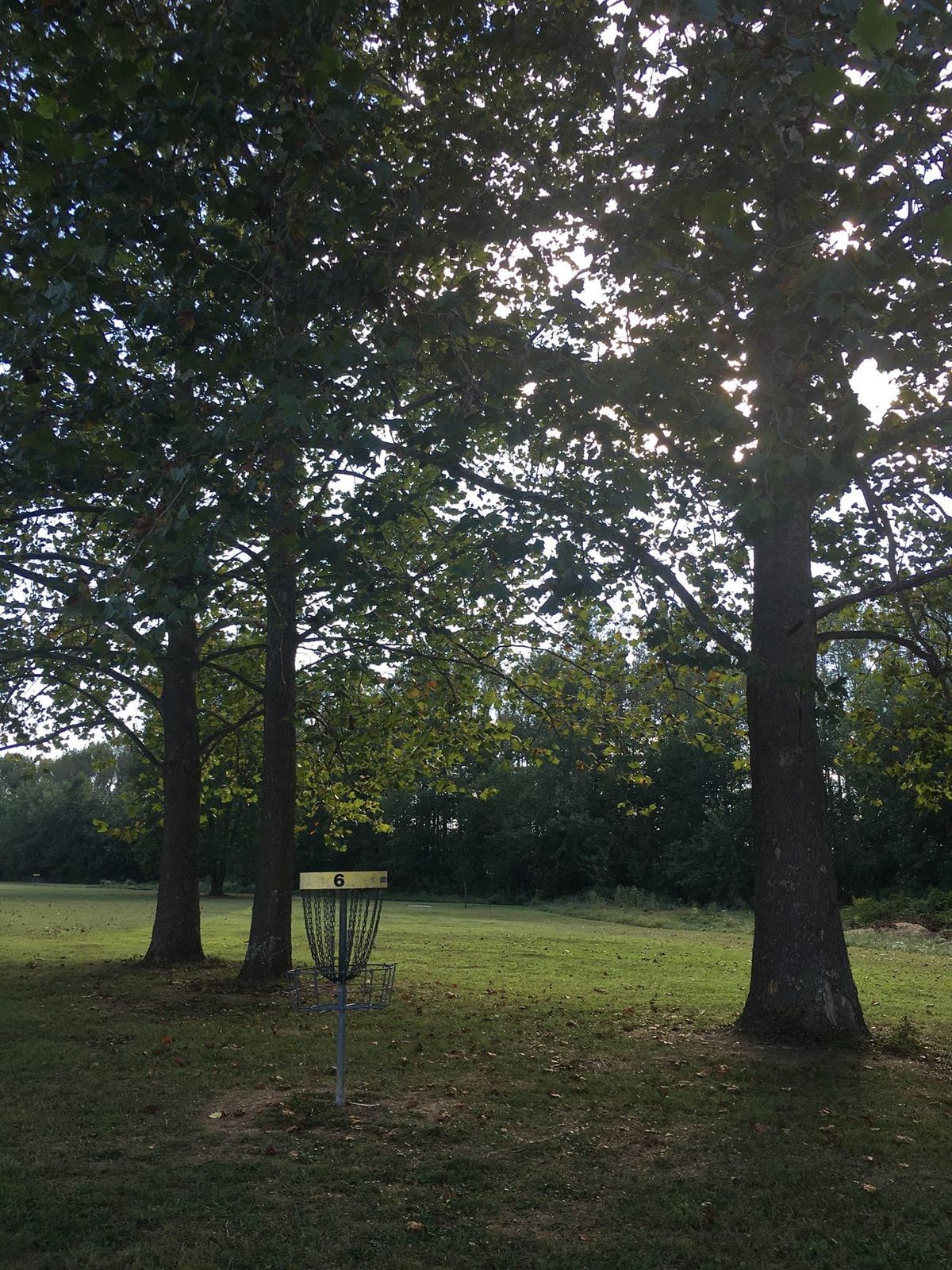 Hole 6 green of A pin looking back towards the tees.
