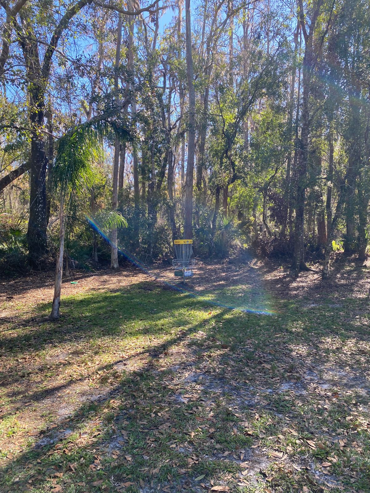 Hole 4 basket.