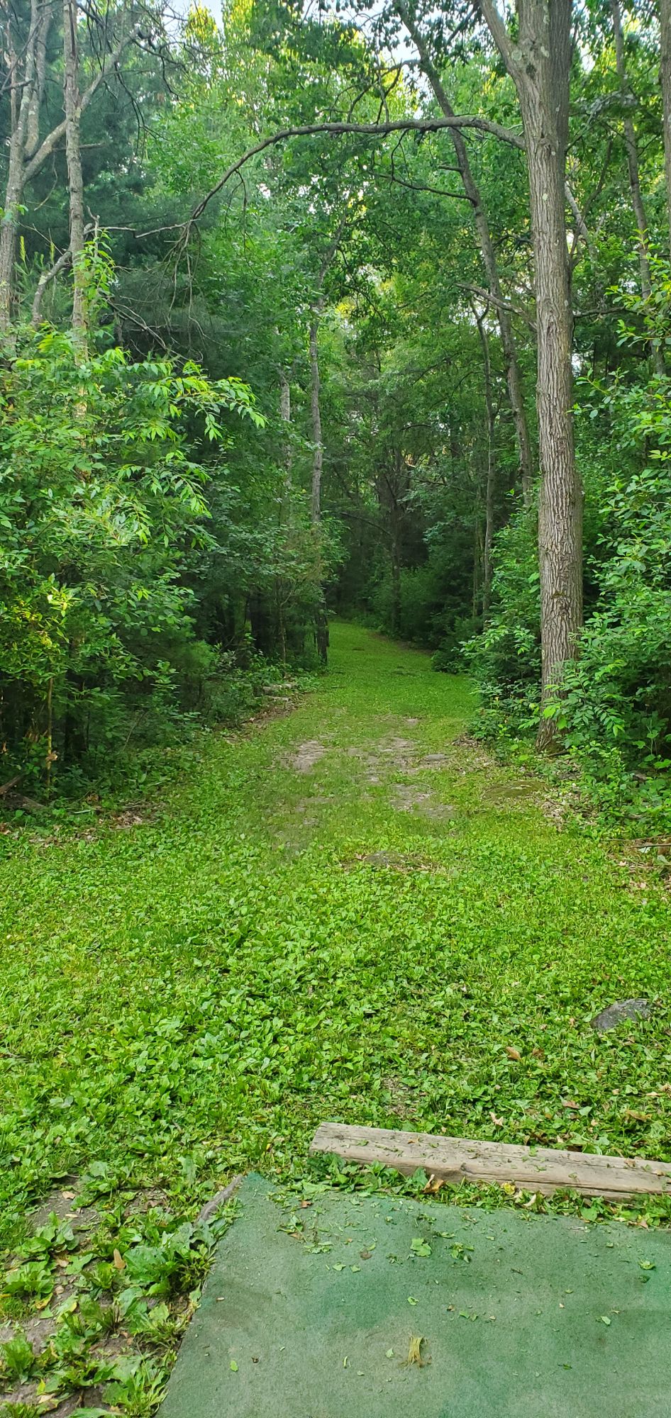 Hole #5 from tee.