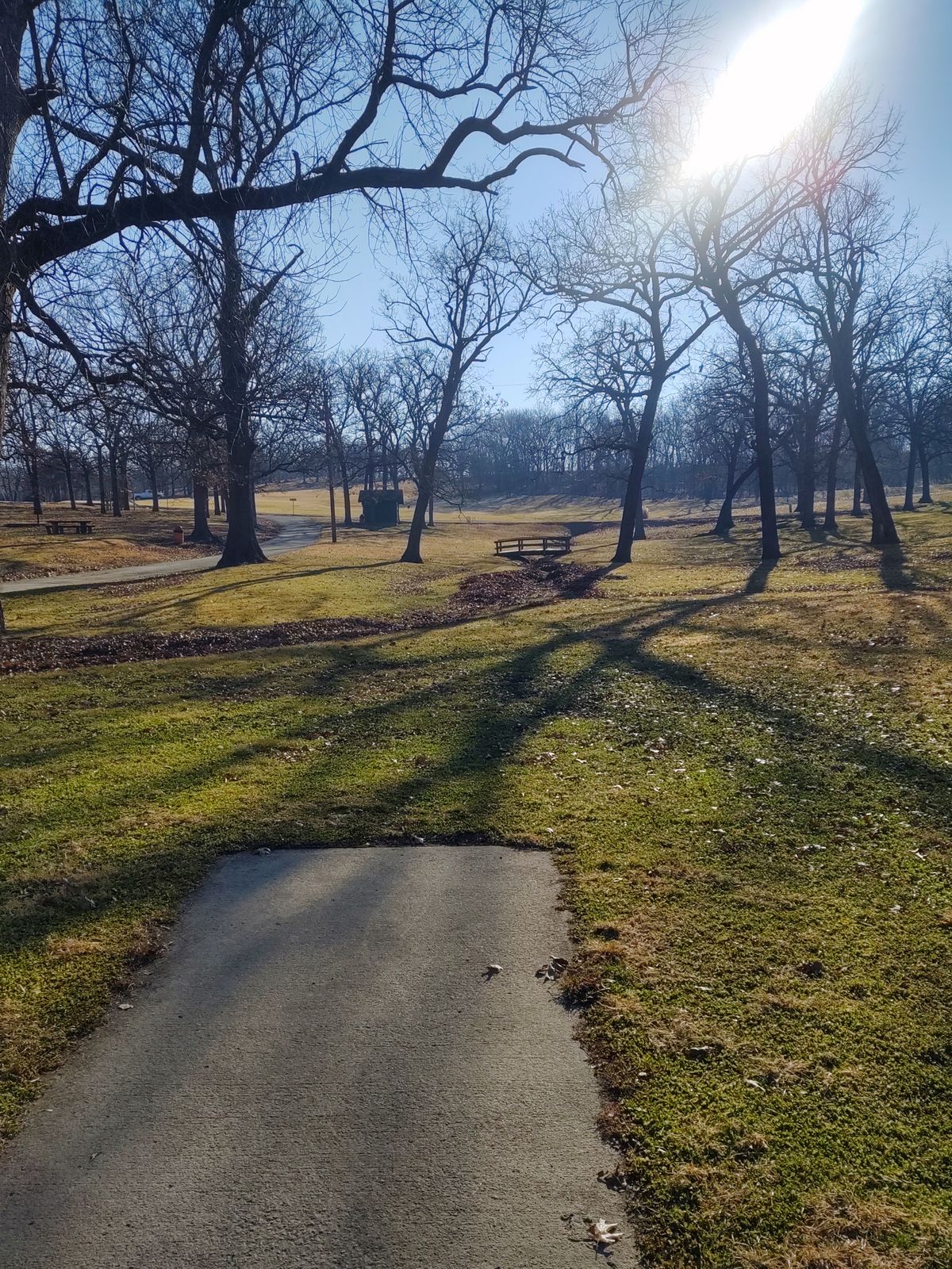 Hole 6 tee