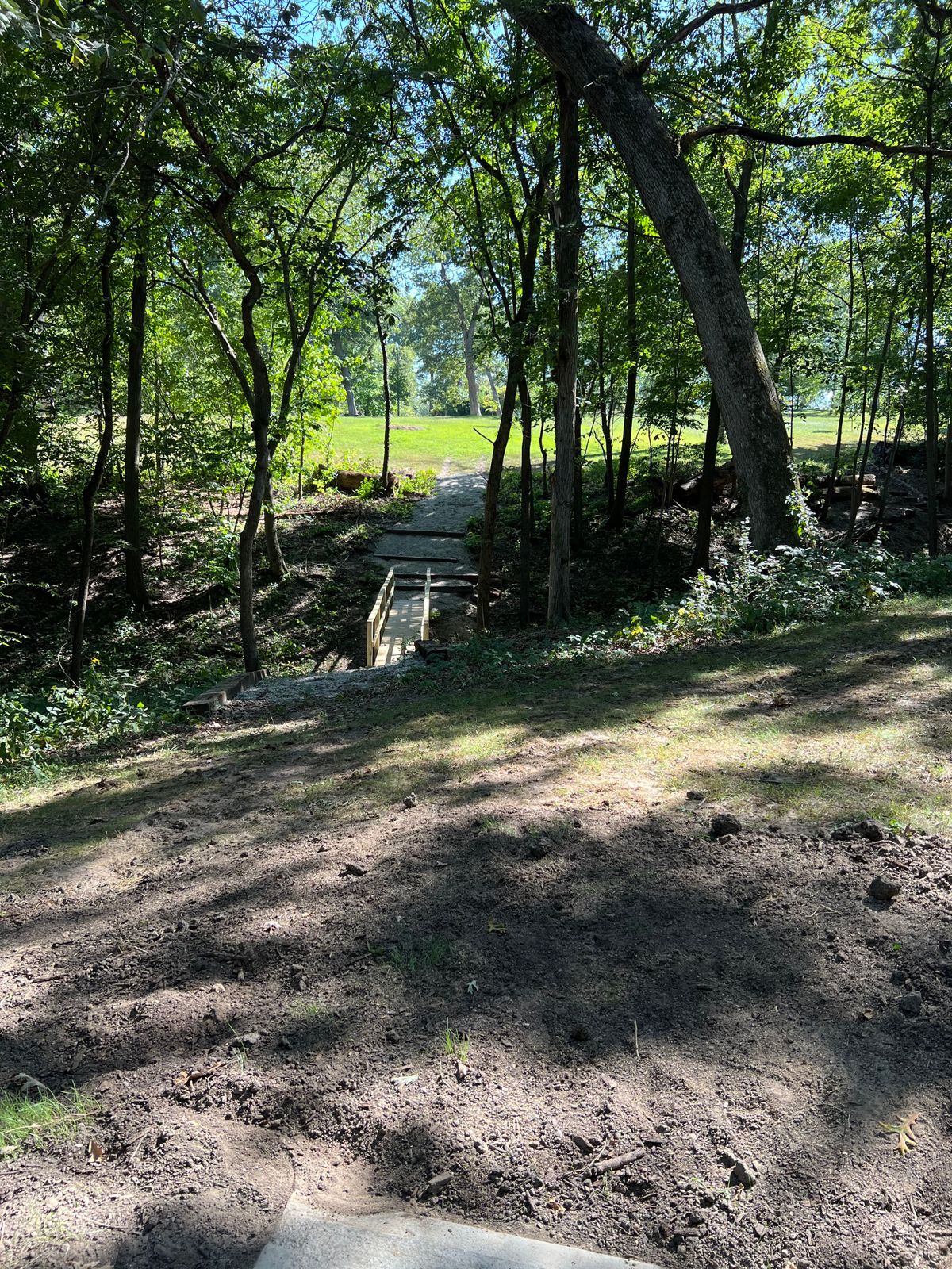 New wooded drive - line 1