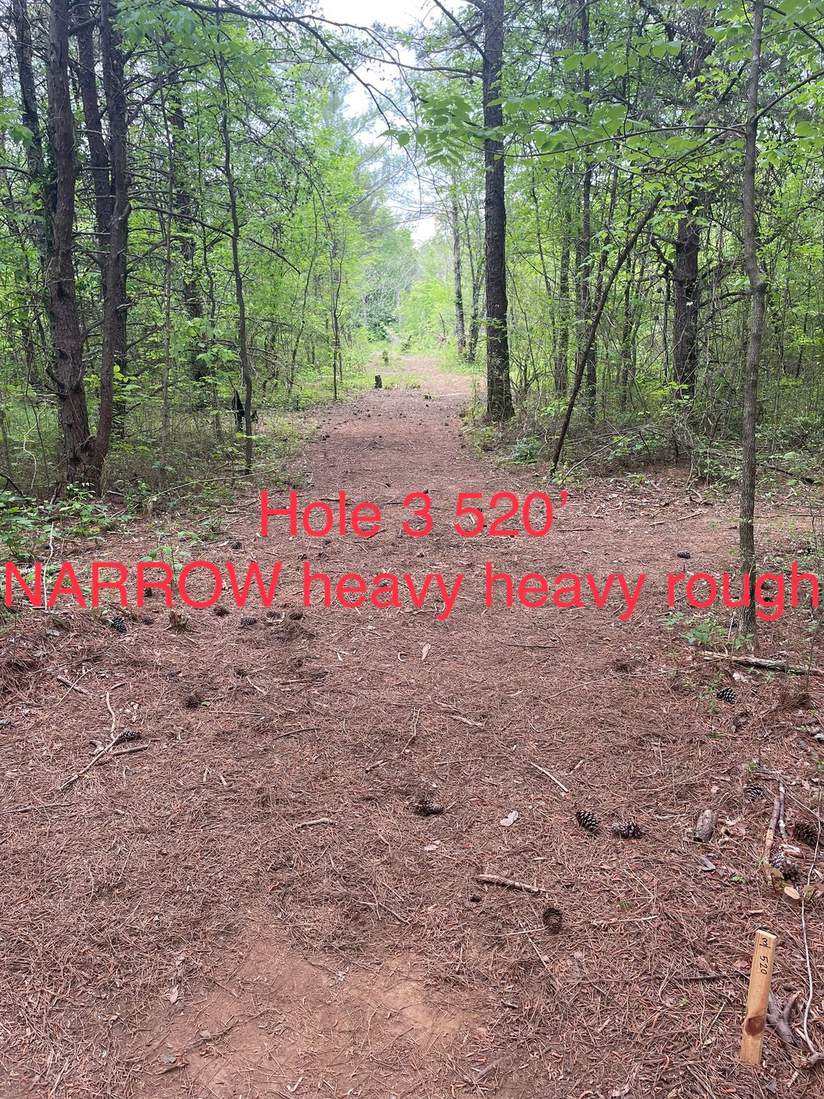 There are 2 ways to the basket on this hole, throw all the way to the pipeline, or hard left 100’ b4