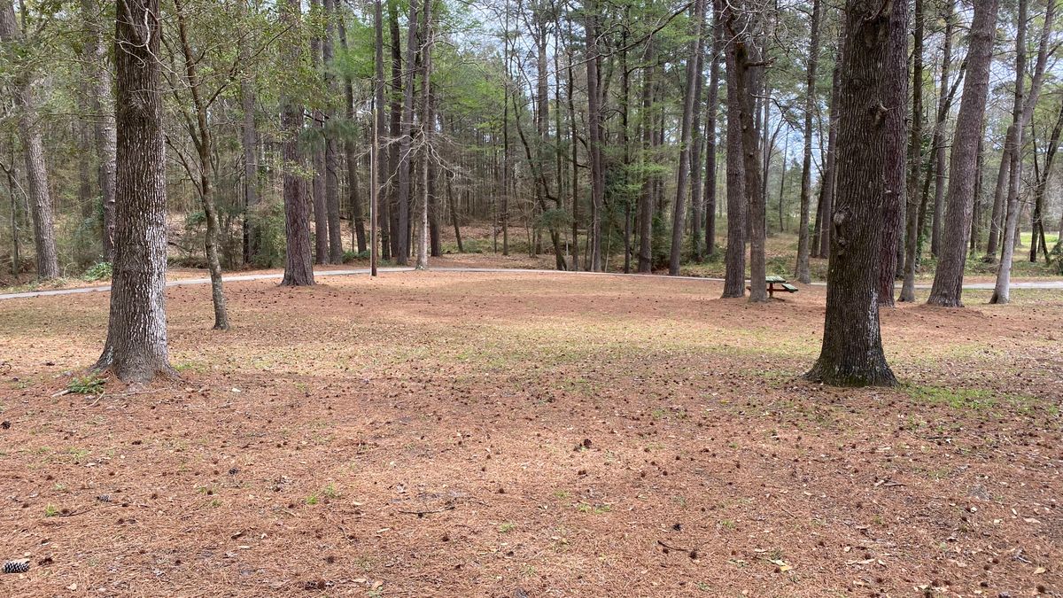 Hole 7